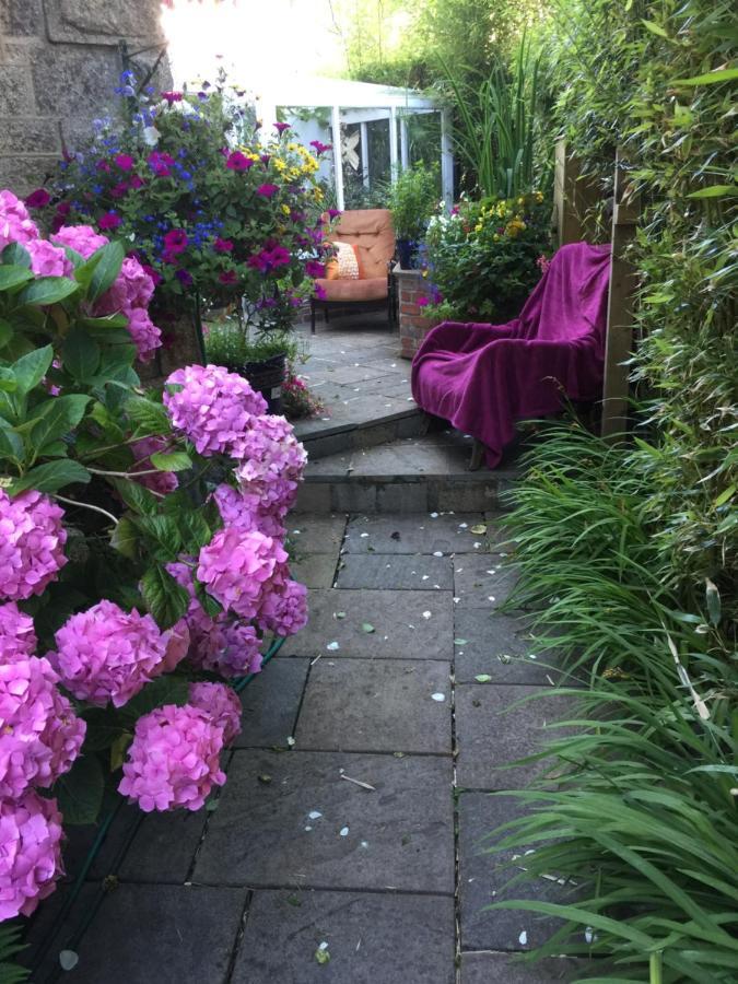 Penzance Seaside Studios Dış mekan fotoğraf